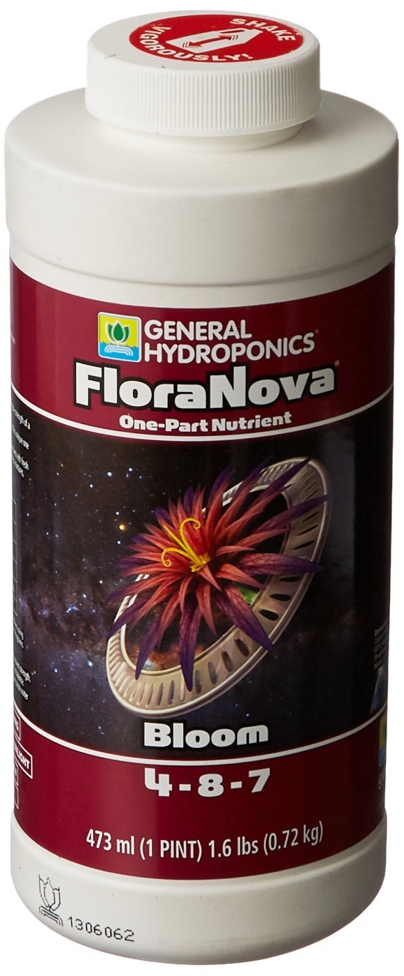 1 Pint White Flora Nova Bloom N13588