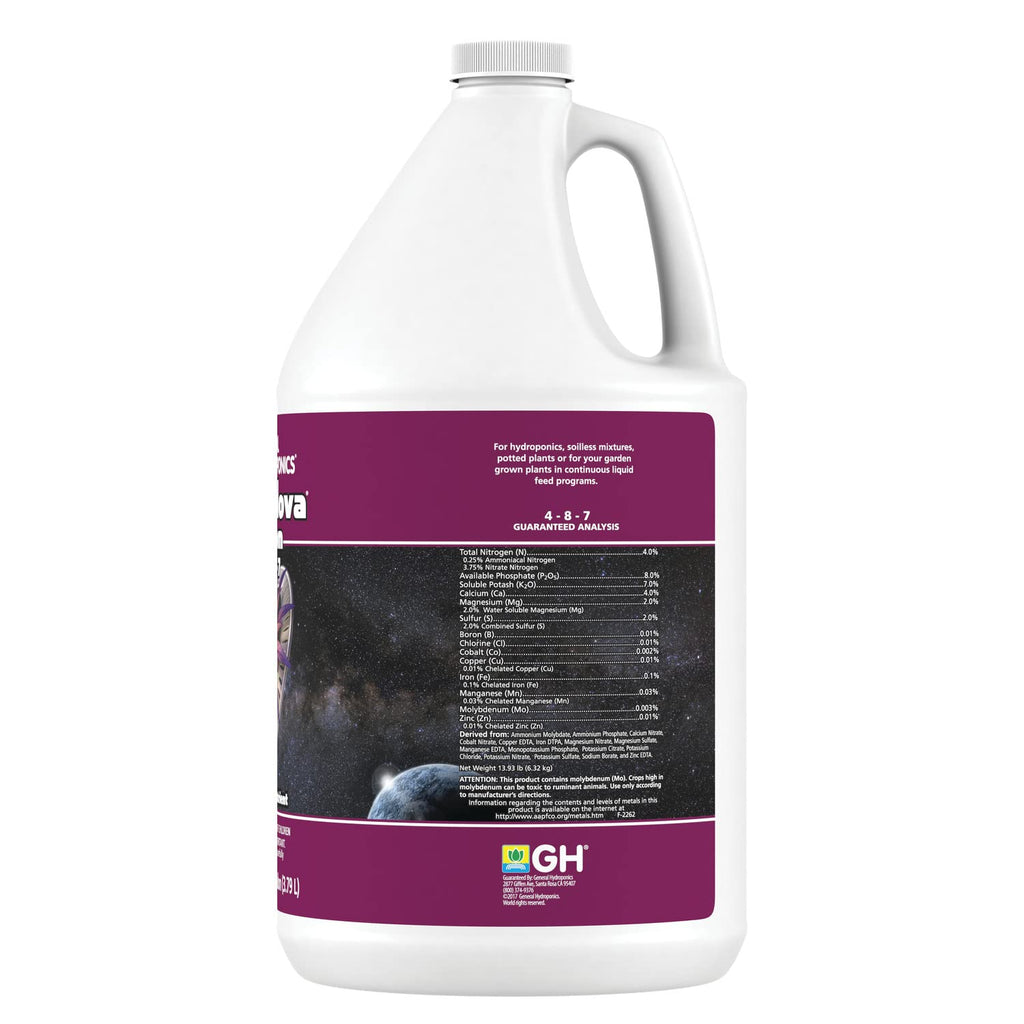 1 Pint White Flora Nova Bloom N13588