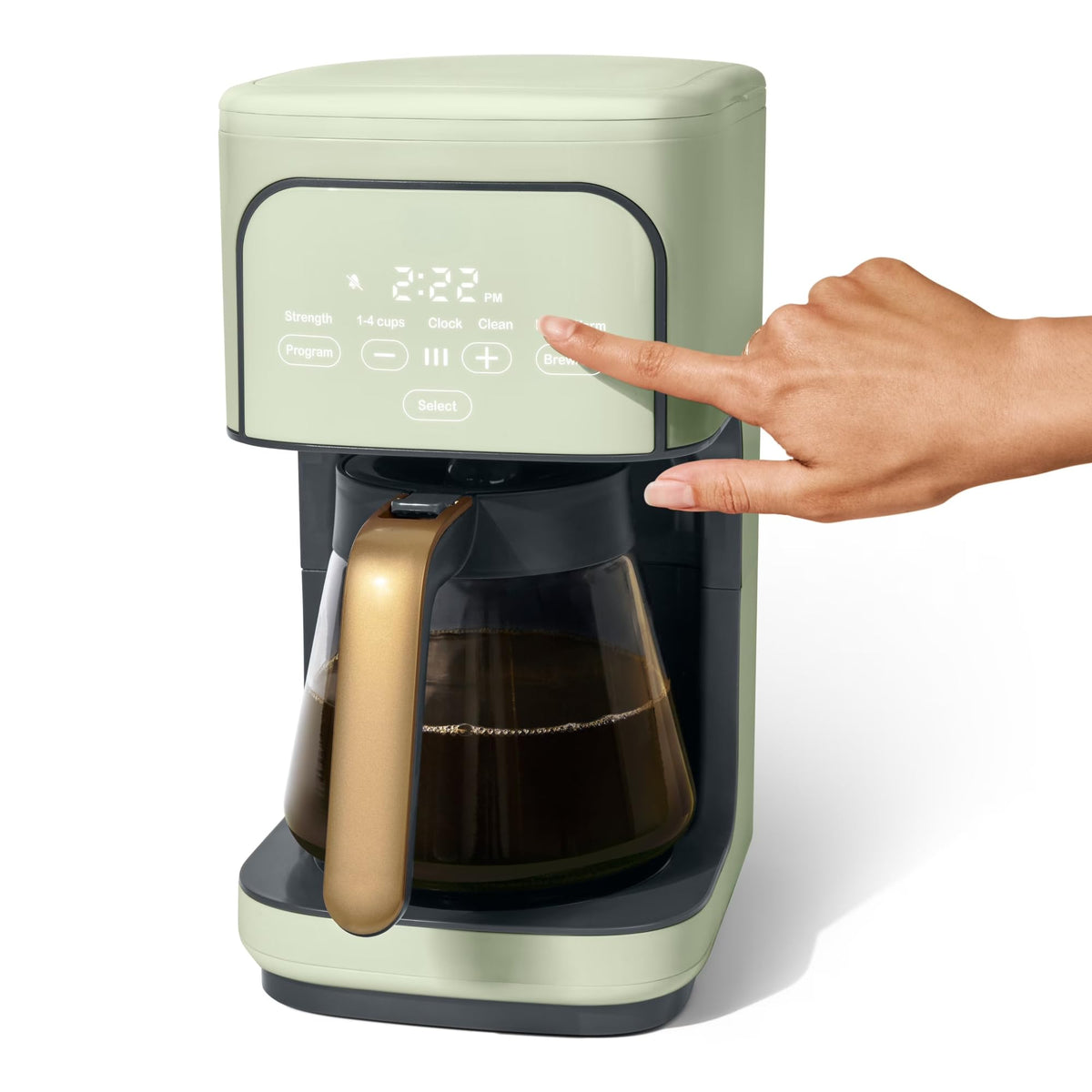 Sage Green 12-Cup Programmable Drip Coffee Maker F7959