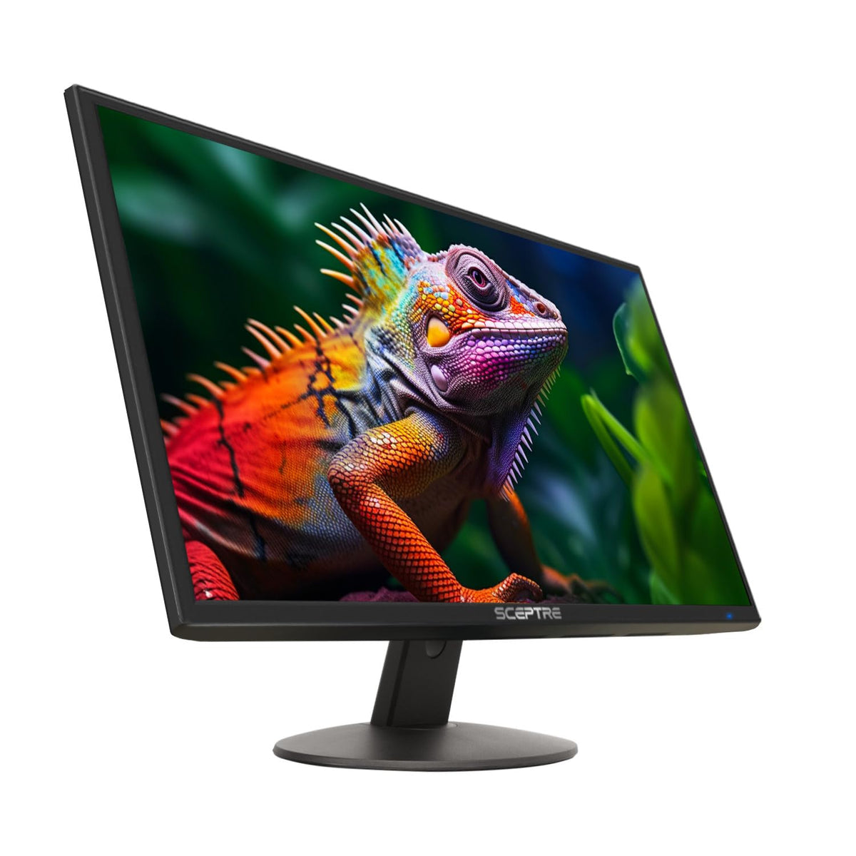 24-inch 1080p LED Monitor D7692