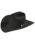 Felt Cowboy Hat W176274