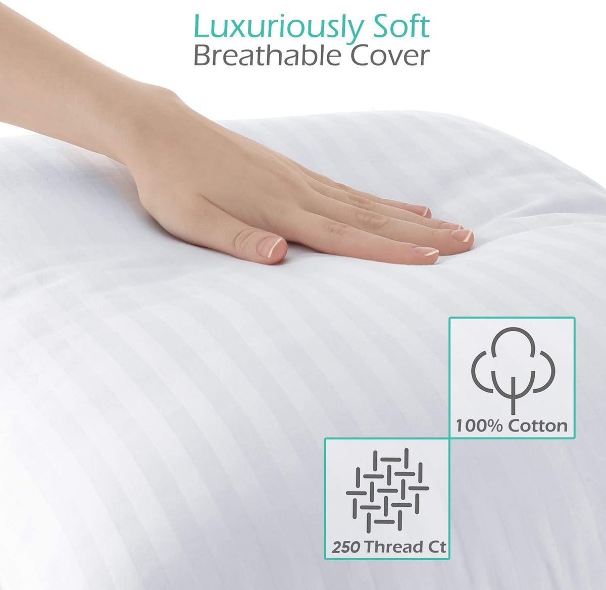 Queen Size Cotton Down Alternative Pillows Set of 2 W47821