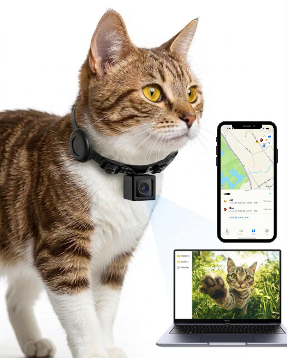 Cat Camera Collar with Tracker Tag, 1080P HD Pet POV Action Cam, Lightweight 0.7oz, Night Vision W3672