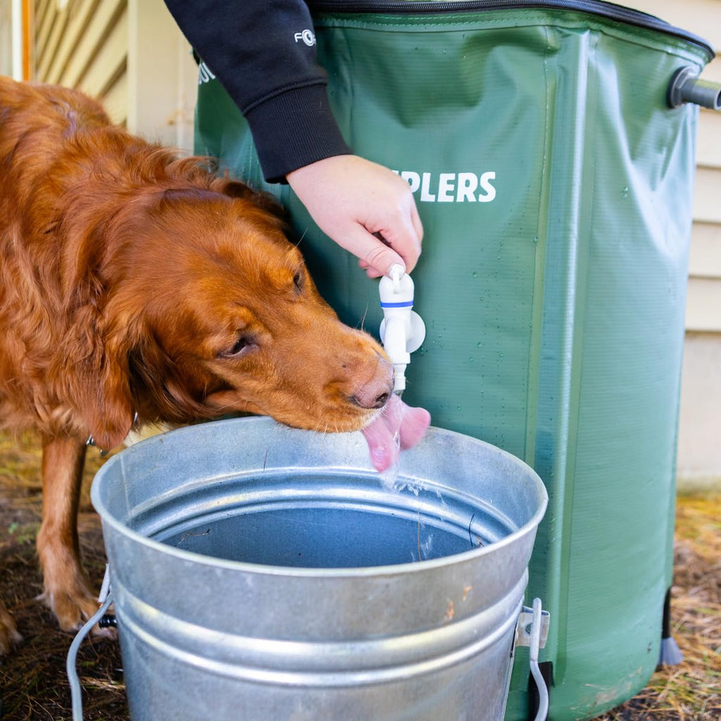 50 Gal Rainwater Bucket Z2749