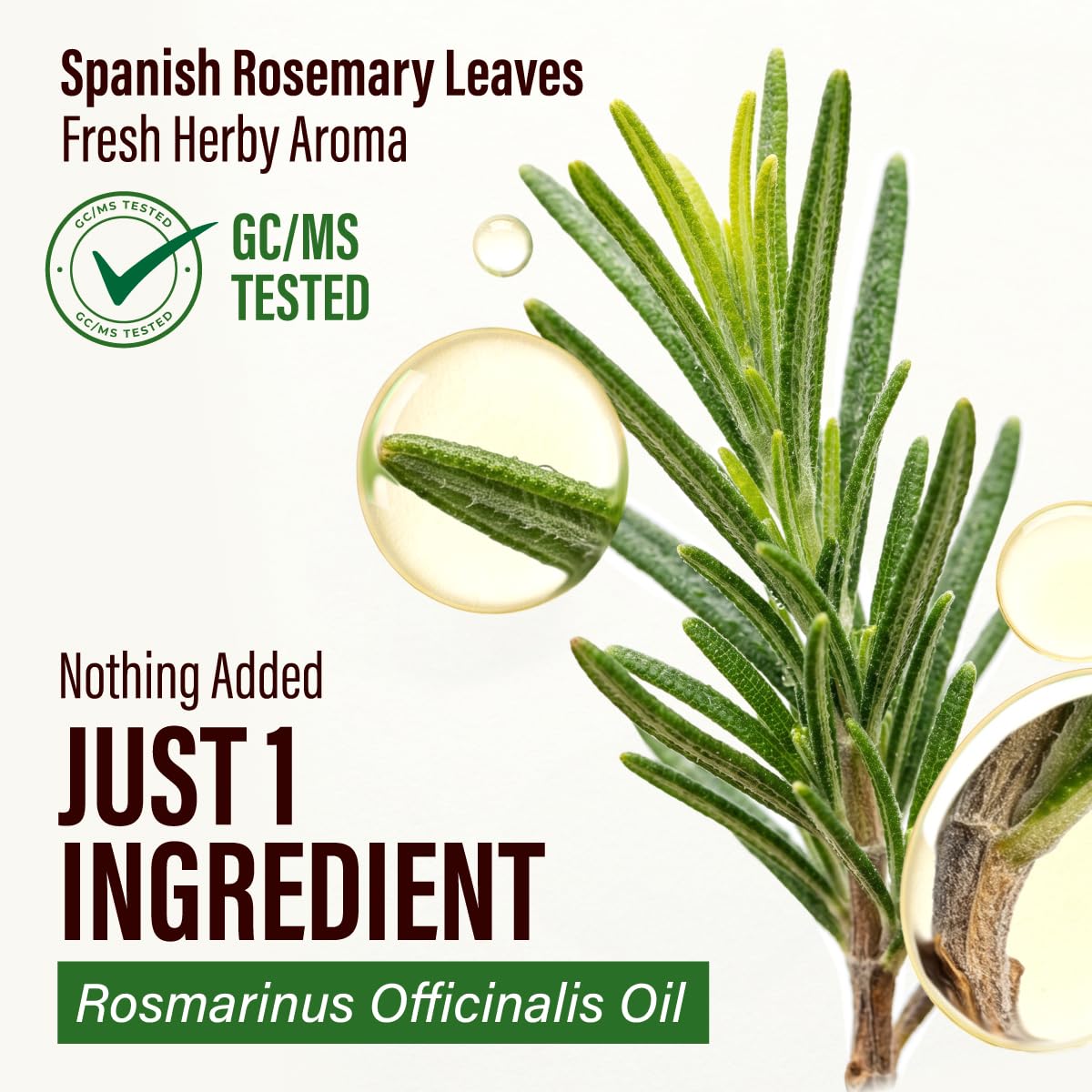 Rosemary Essential Oil 4 Fl Oz Pack of 3 F2464