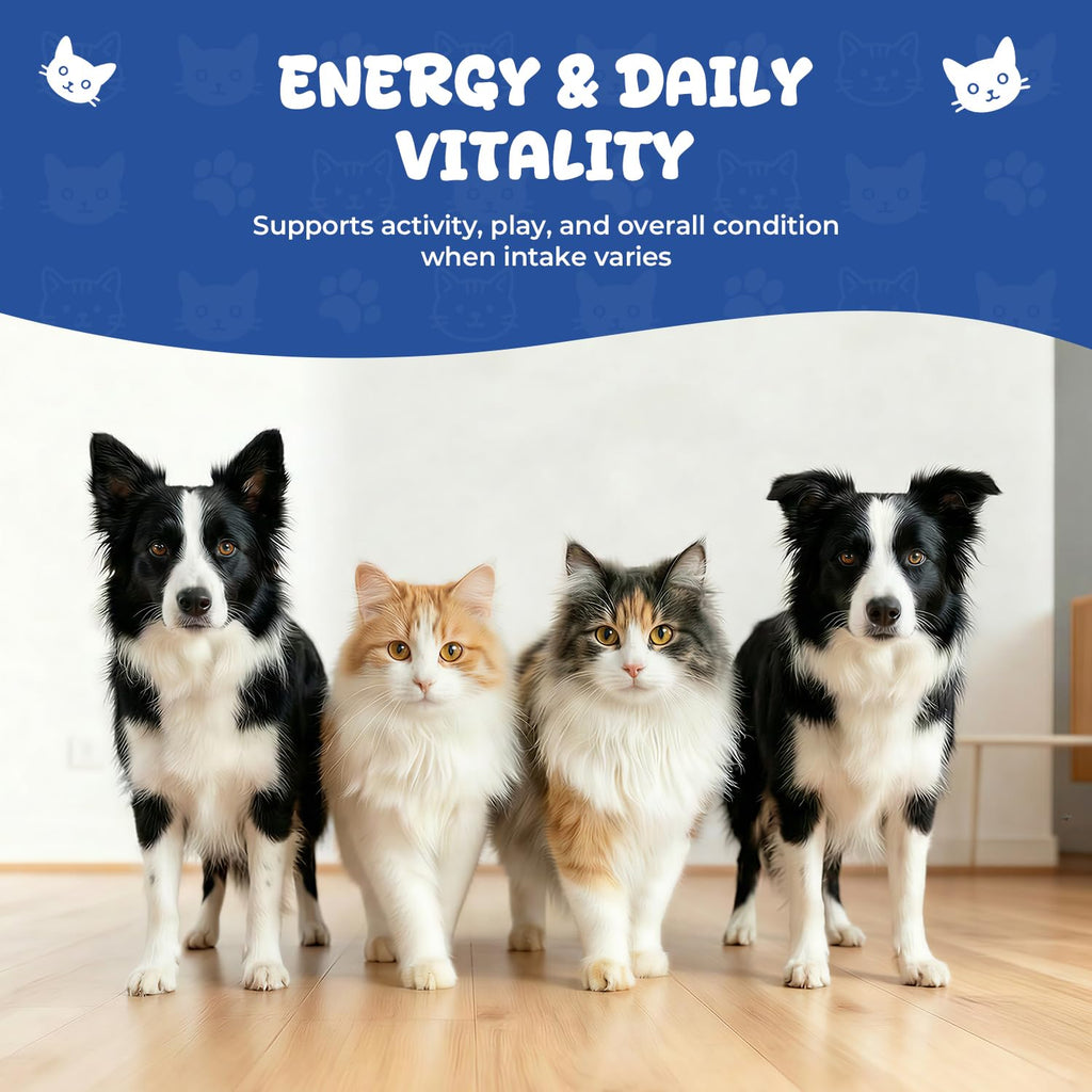 Vitamin B12 Drops with Methylcobalamin L8768