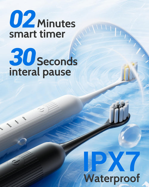 2 Pack Rechargeable Electric Toothbrush with 12 Brush Heads Y920587