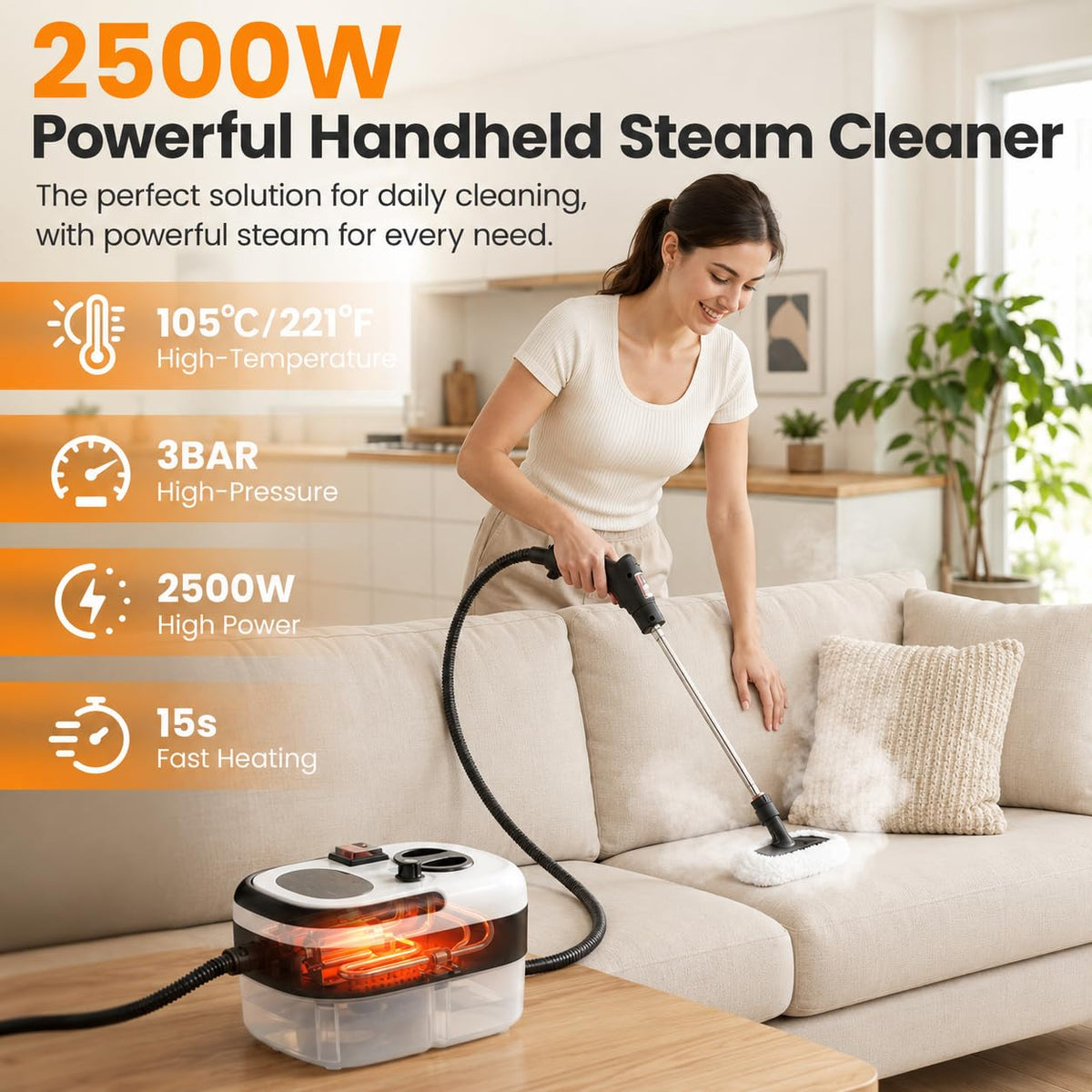 Handheld Steam Cleaner C2173