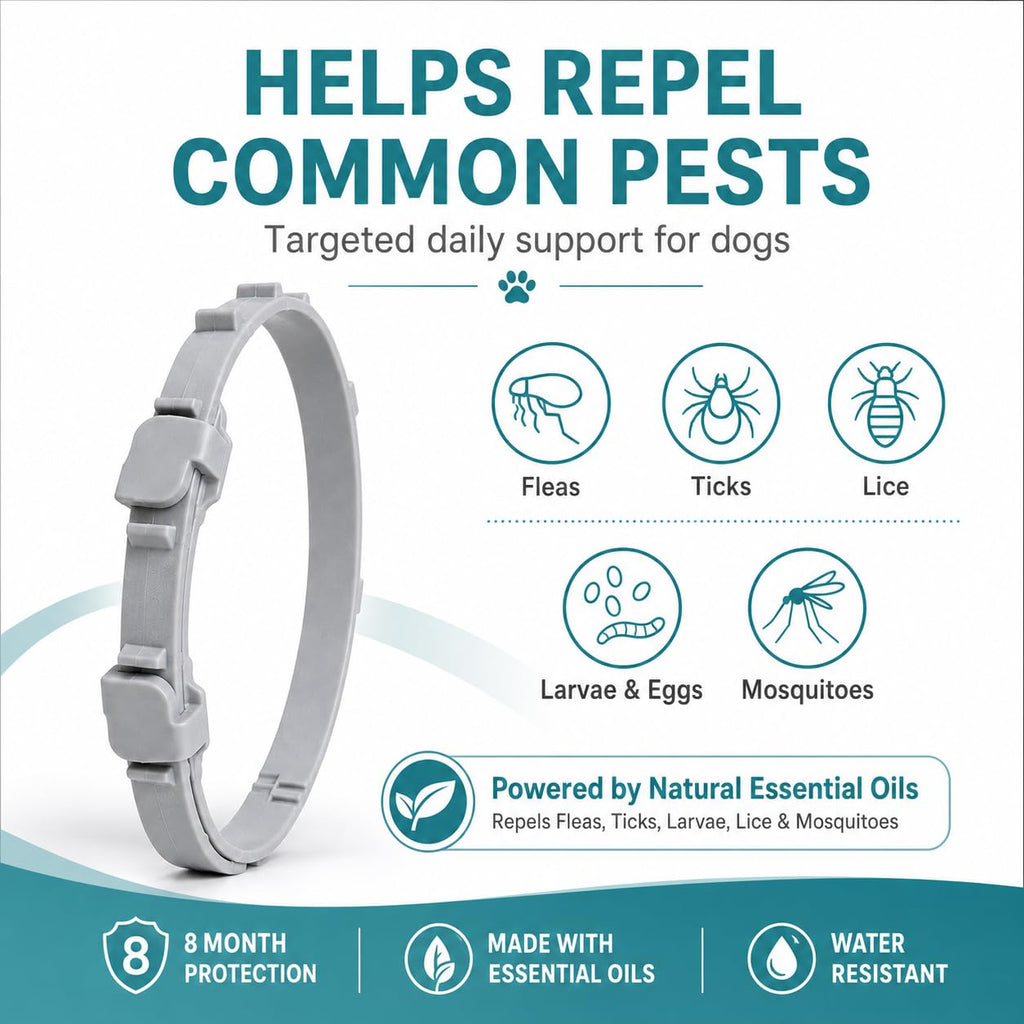 Flea and Tick Collar for Dogs, 4 Pack, Small Dogs Under 18 lbs A297