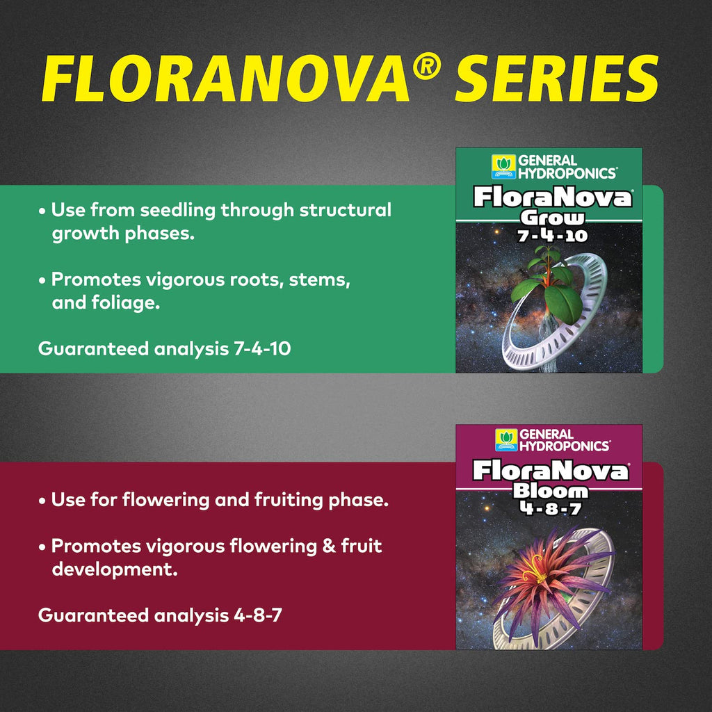 1 Pint White Flora Nova Bloom N13588