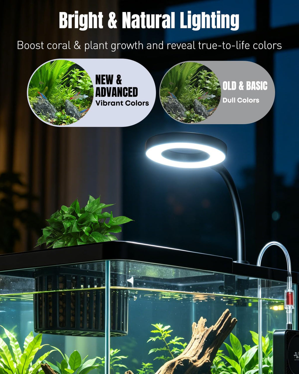 2 Gallon Ultra Clear Aquarium Starter Kit with LED Light, Air Pump, Filter M2731