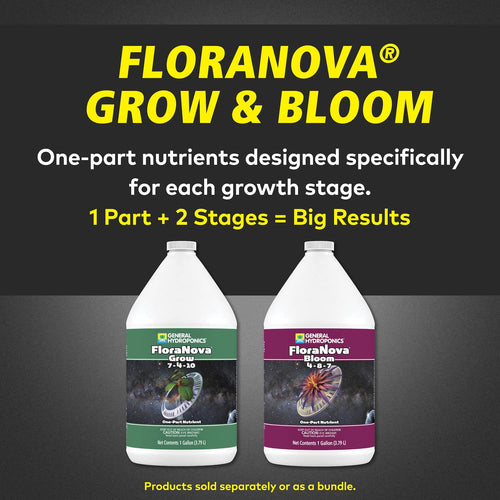 1 Pint White Flora Nova Bloom N13588