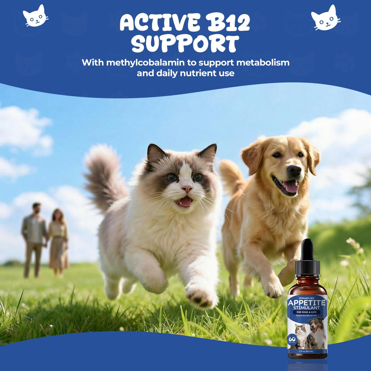 Vitamin B12 Drops with Methylcobalamin L8768