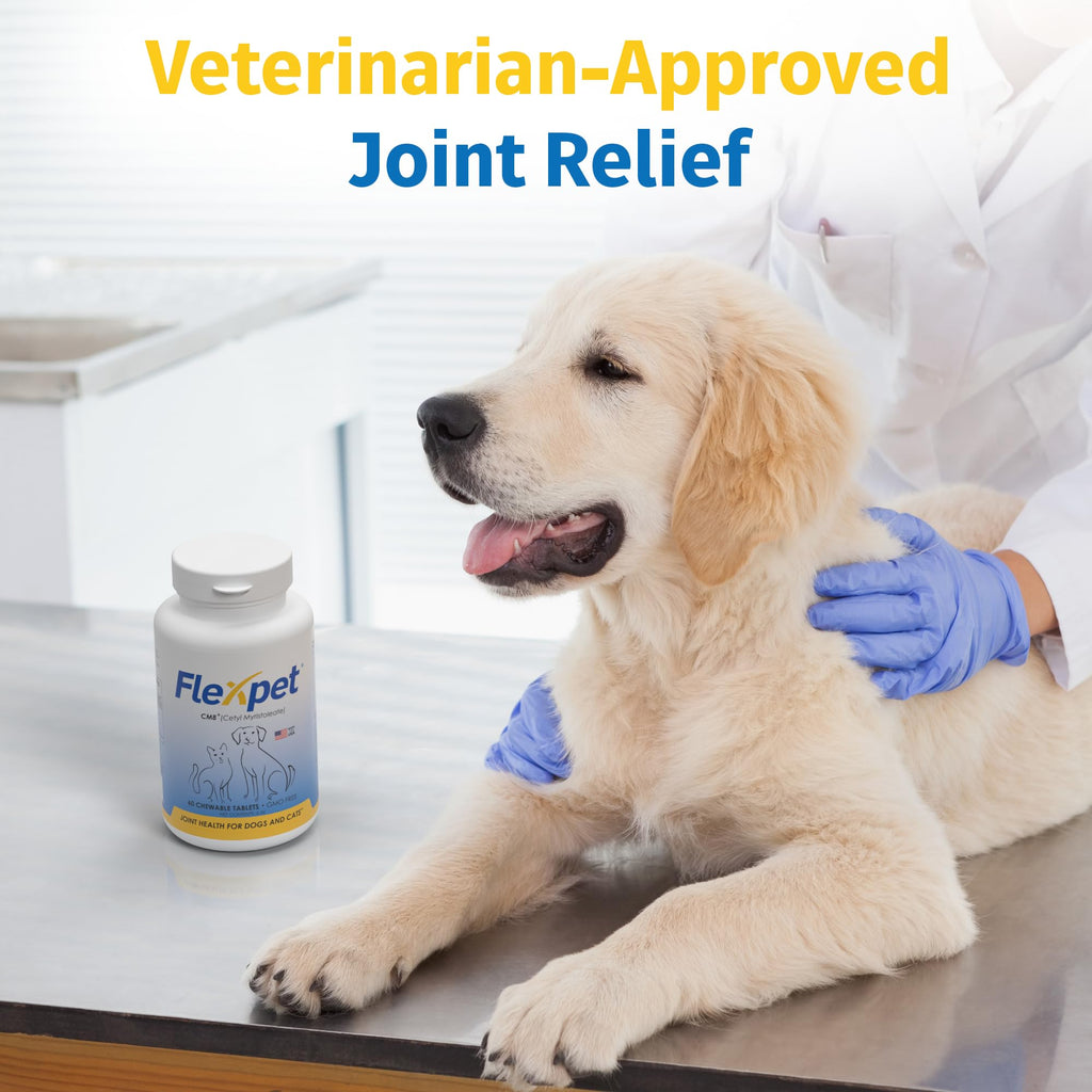 Hip & Joint Supplement for Dogs & Cats with Glucosamine, Collagen, MSM - 60 Tablets R486
