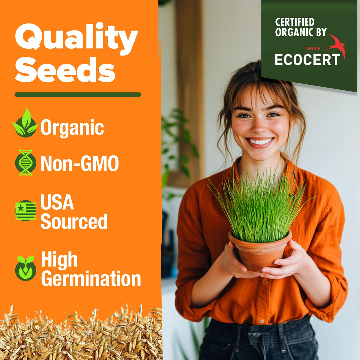 Organic Cat Grass Seeds 8oz Oat & Barley R675