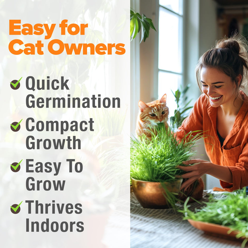 Organic Cat Grass Seeds 8oz Oat & Barley R675