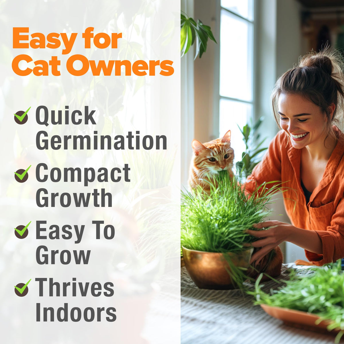 Organic Cat Grass Seeds 8oz Oat & Barley R675