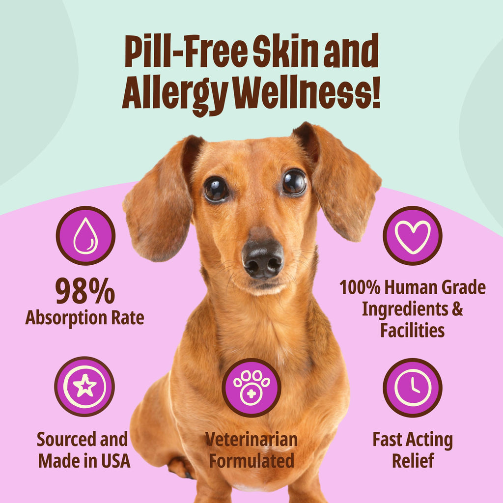 Omega-3 Fish Oil for Senior Dogs T990