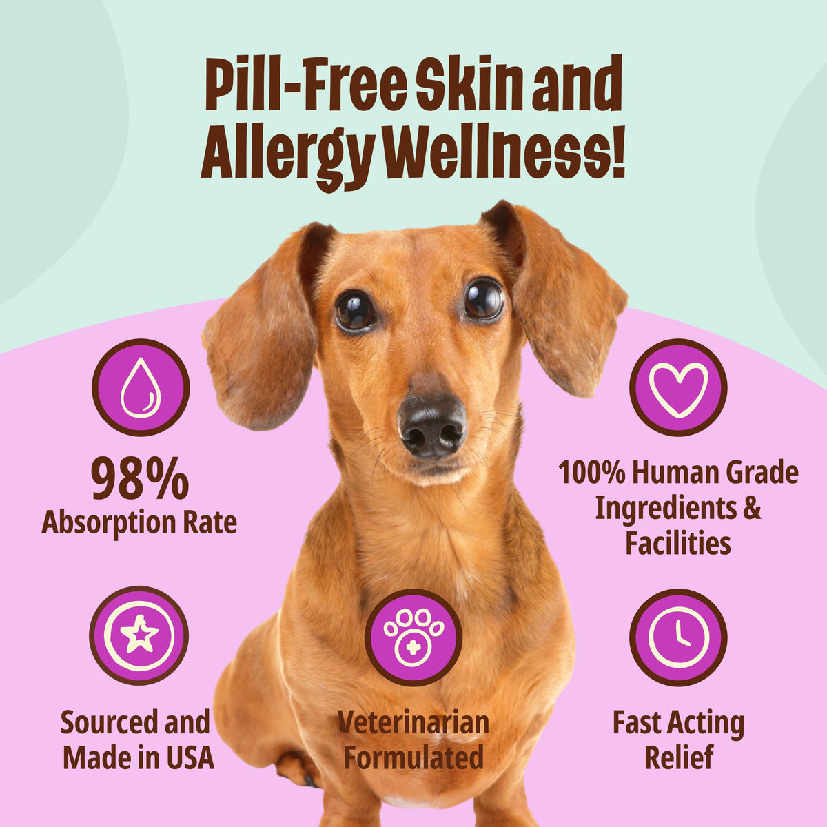 Omega-3 Fish Oil for Senior Dogs T990