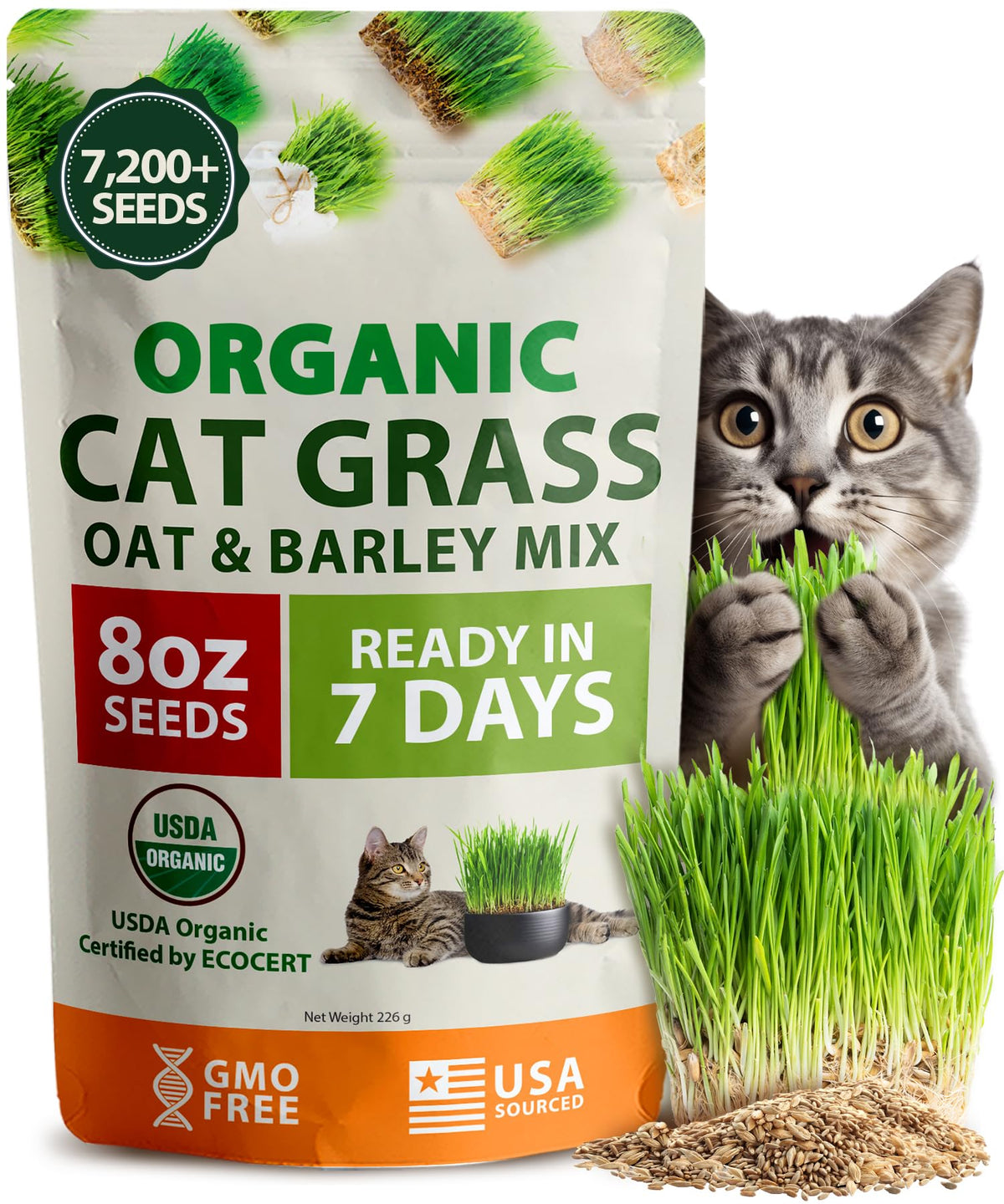 Organic Cat Grass Seeds 8oz Oat & Barley R675