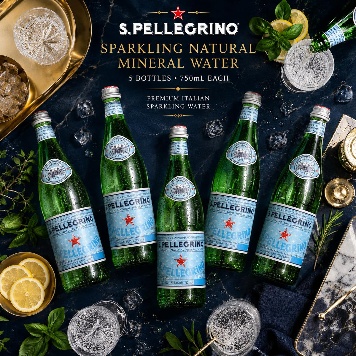 Sparkling Natural Mineral Water 750 mL Glass Bottles 5 Pack I750