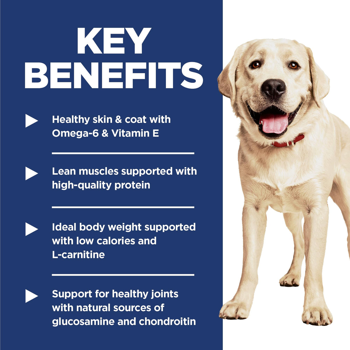 Large Breed Dry Dog Food A54120