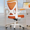 Mesh Ergonomic Office Chair with Lumbar C83560