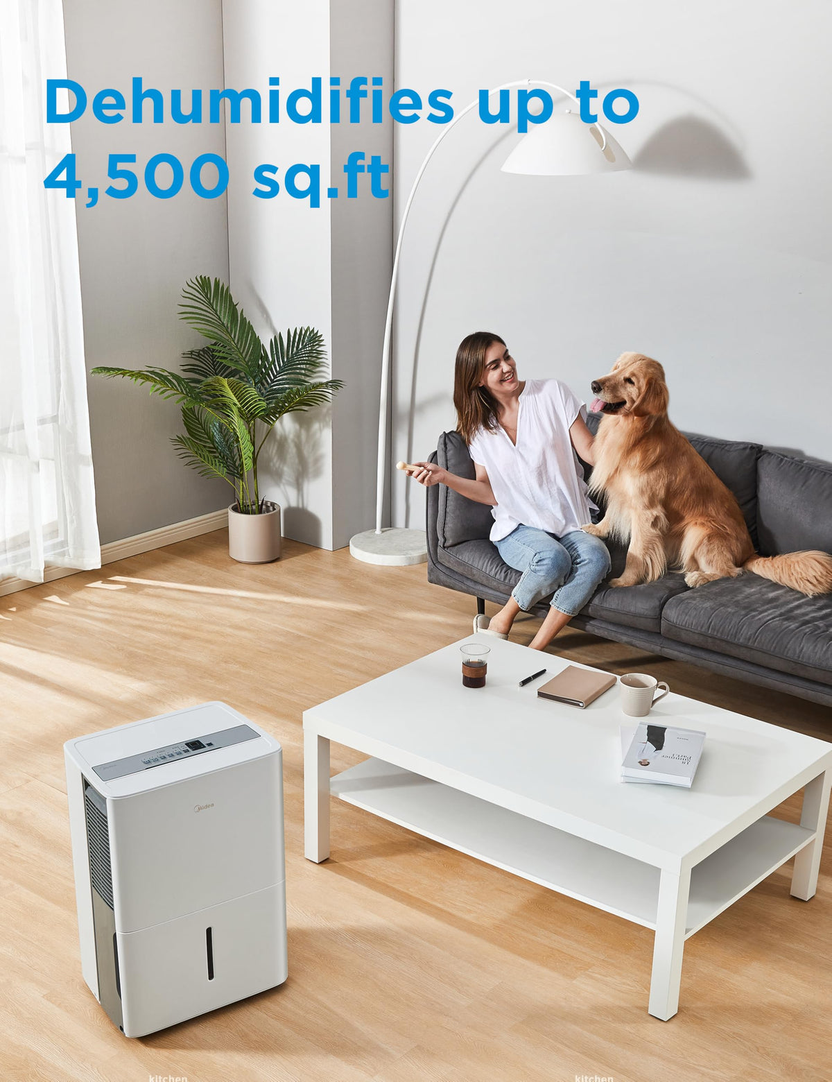 50 Pint Dehumidifier with Pump X806