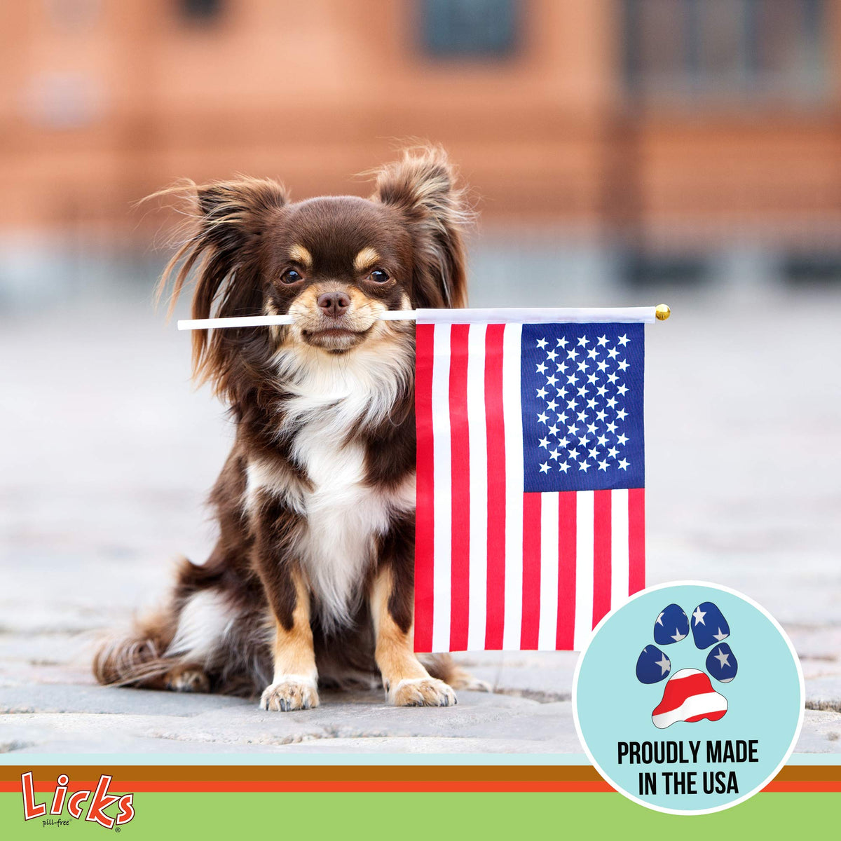 Omega-3 Fish Oil for Senior Dogs T990