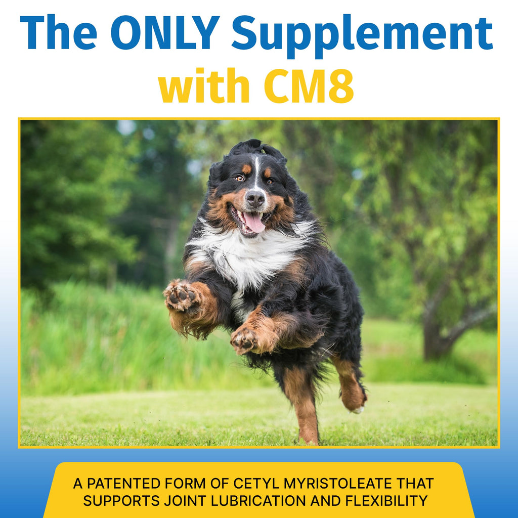 Hip & Joint Supplement for Dogs & Cats with Glucosamine, Collagen, MSM - 60 Tablets R486