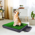 Dog Grass Pad with Tray X3318
