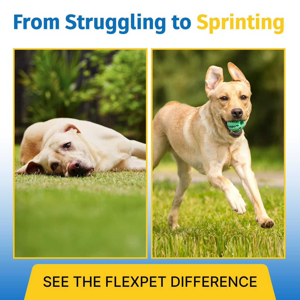 Hip & Joint Supplement for Dogs & Cats with Glucosamine, Collagen, MSM - 60 Tablets R486